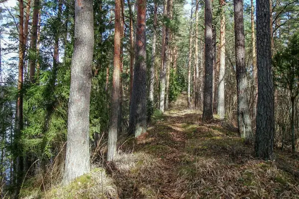 Dabas liegums "Grebļukalns"