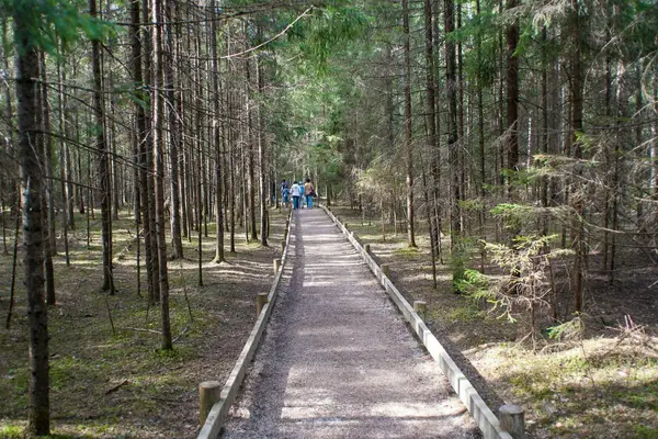 Līgatnes dabas takas