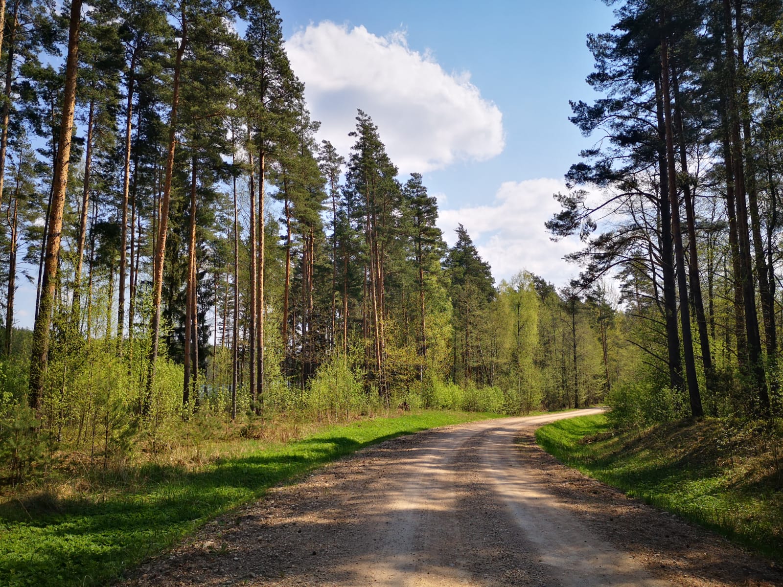 Kovšezera dabas taka