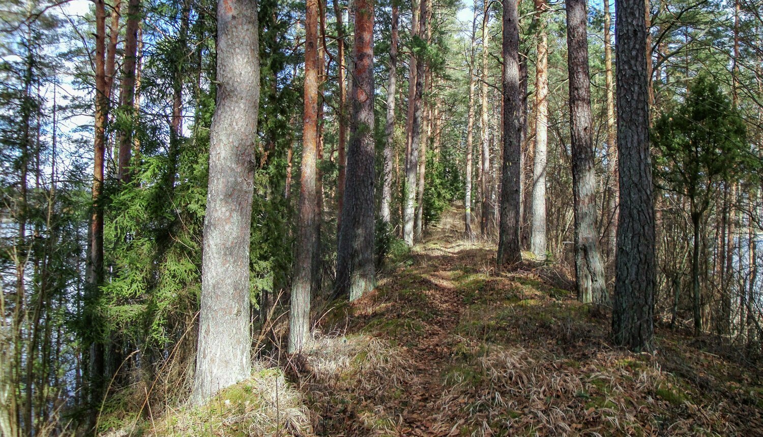 Dabas liegums “Grebļukalns”