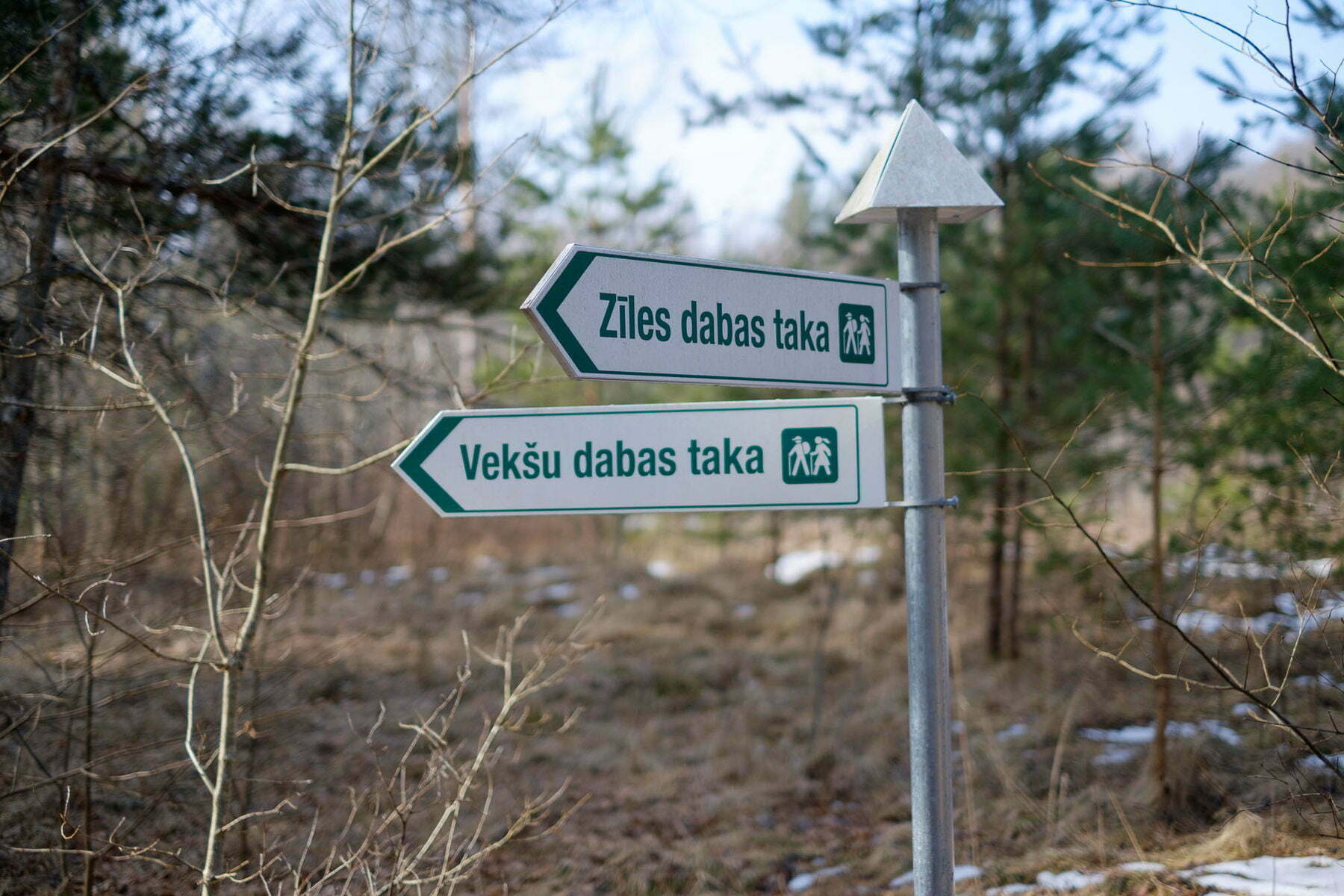 Zīles dabas taka